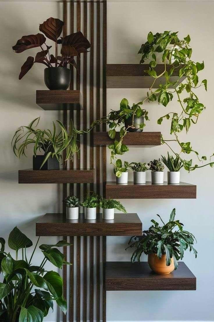 Decor
